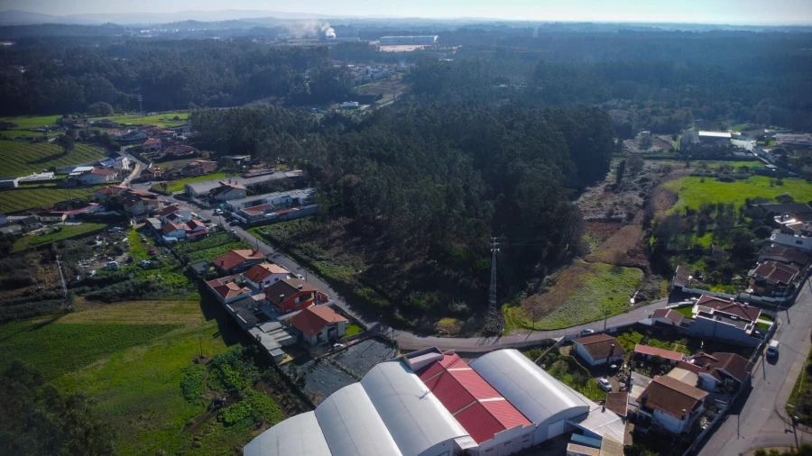 Terreno para Venda em Rio Meão Foto 19