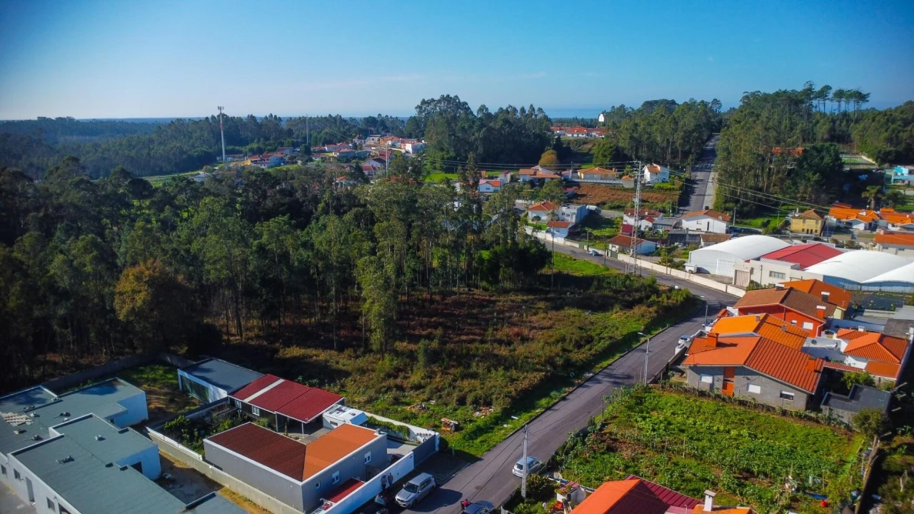 Terreno para Venda em Rio Meão Foto 14