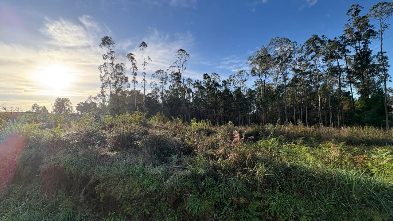 Terreno para Venda em Rio Meão Foto 3