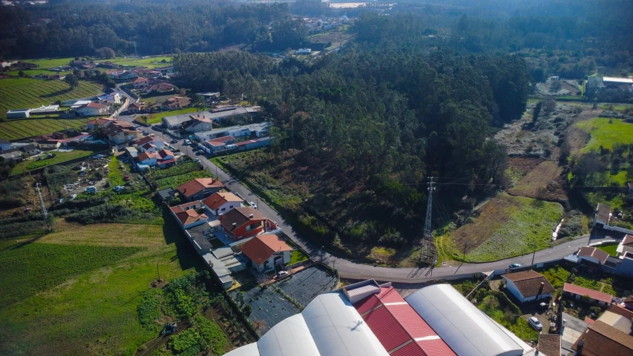 Terreno para Venda em Rio Meão Foto 11
