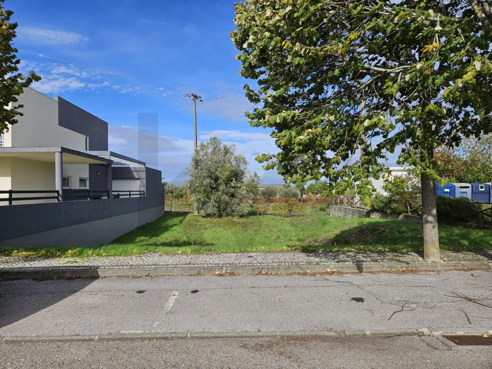 Terreno para Venda em Cantanhede e Pocariça Foto 6