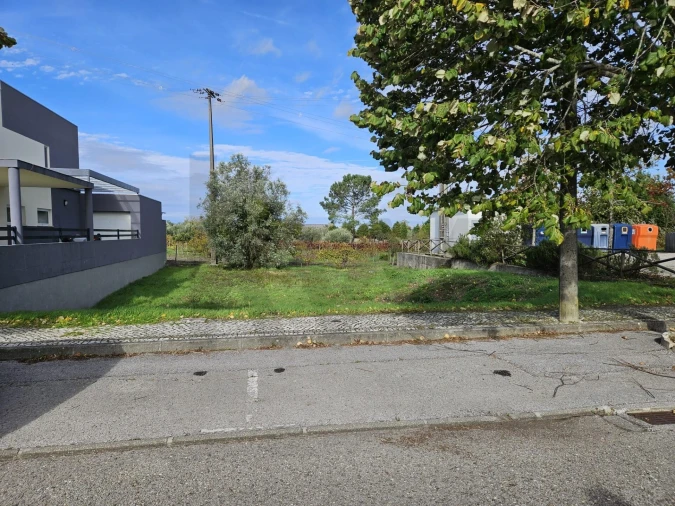 Terreno para Venda em Cantanhede e Pocariça