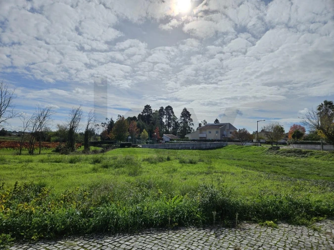 Terreno para Venda em Cantanhede e Pocariça Foto 10