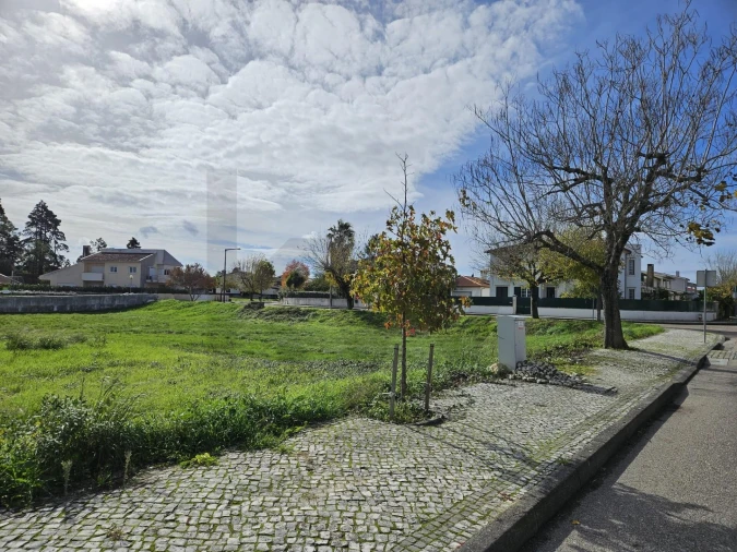Terreno para Venda em Cantanhede e Pocariça Foto 9