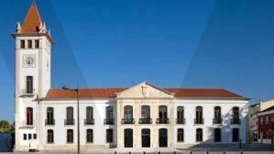 Terreno para Venda em Cantanhede e Pocariça Foto 14