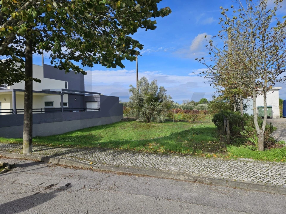 Terreno para Venda em Cantanhede e Pocariça Foto 17