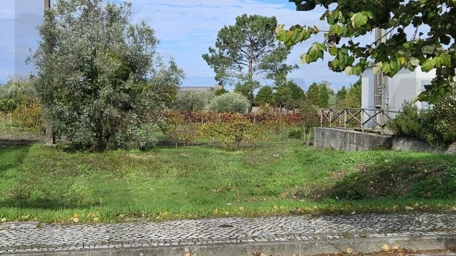 Terreno para Venda em Cantanhede e Pocariça