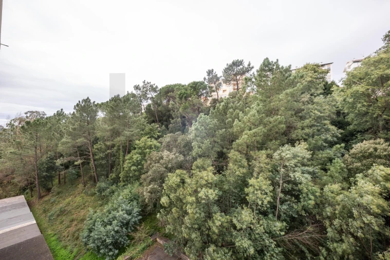 Apartamento T2 para Venda em Santo Antonio dos Olivais Foto 19