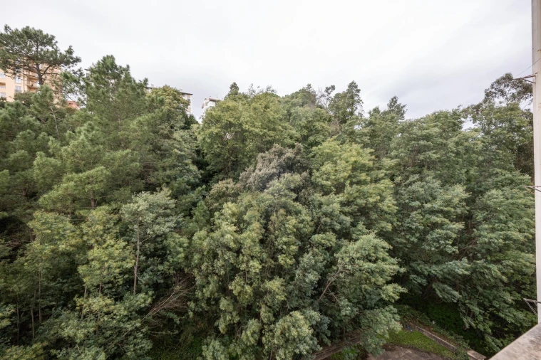 Apartamento T2 para Venda em Santo Antonio dos Olivais Foto 18