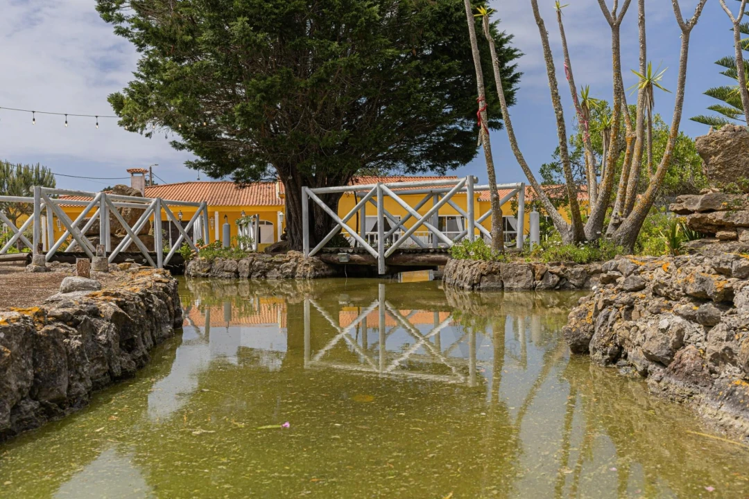 Quinta T5 para Venda em Santa Maria e São Miguel, São Martinho, São Pedro Penaferrim Foto 20