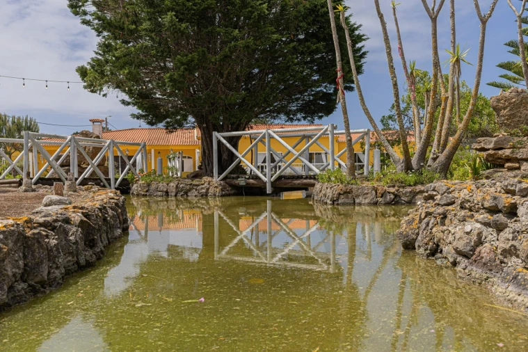 Quinta T5 para Venda em Santa Maria e São Miguel, São Martinho, São Pedro Penaferrim Foto 20