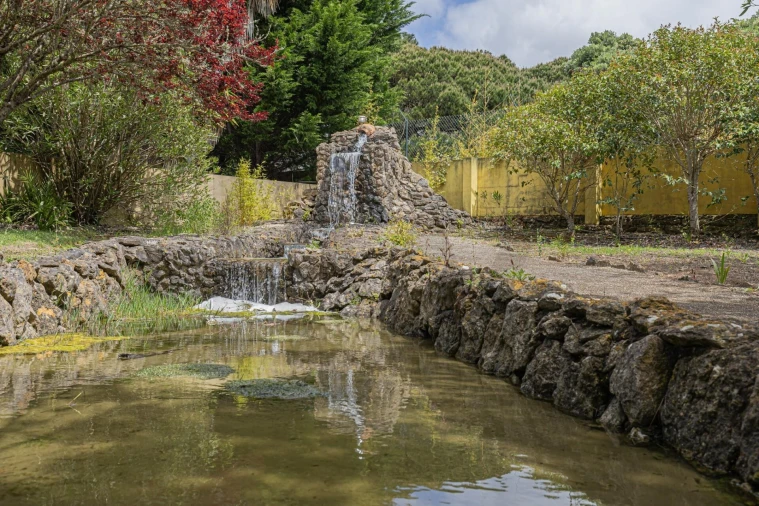 Quinta T5 para Venda em Santa Maria e São Miguel, São Martinho, São Pedro Penaferrim Foto 32