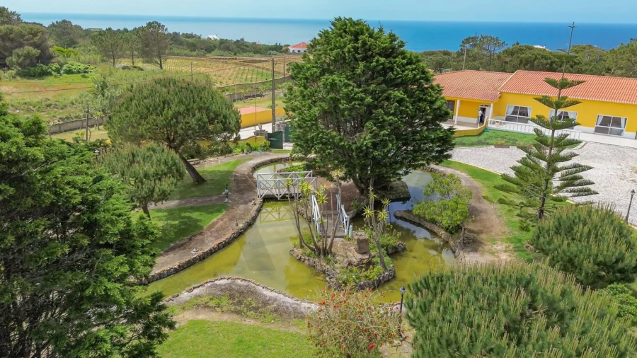 Quinta T5 para Venda em Santa Maria e São Miguel, São Martinho, São Pedro Penaferrim Foto 33