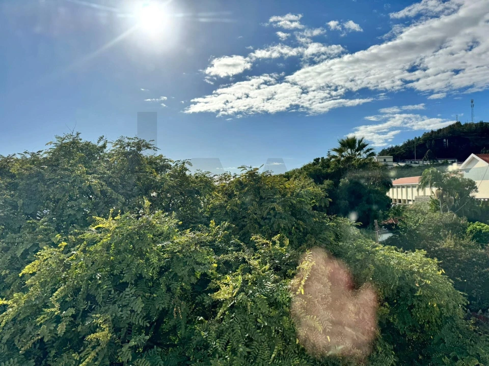 Apartamento T3 para Venda em São Martinho Foto 11