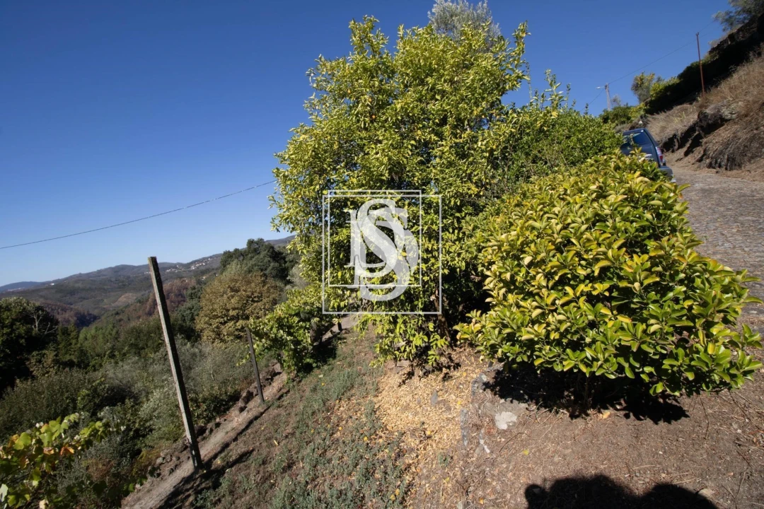 Moradia T2 para Venda em Rebordelo Foto 20