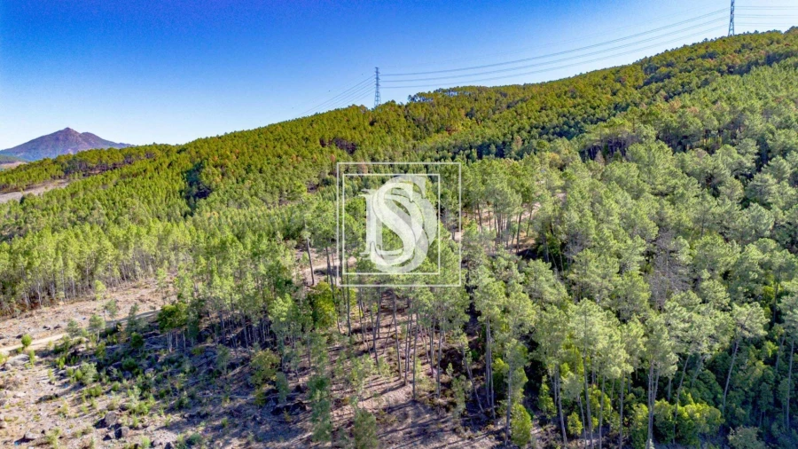 Moradia T2 para Venda em Rebordelo Foto 16