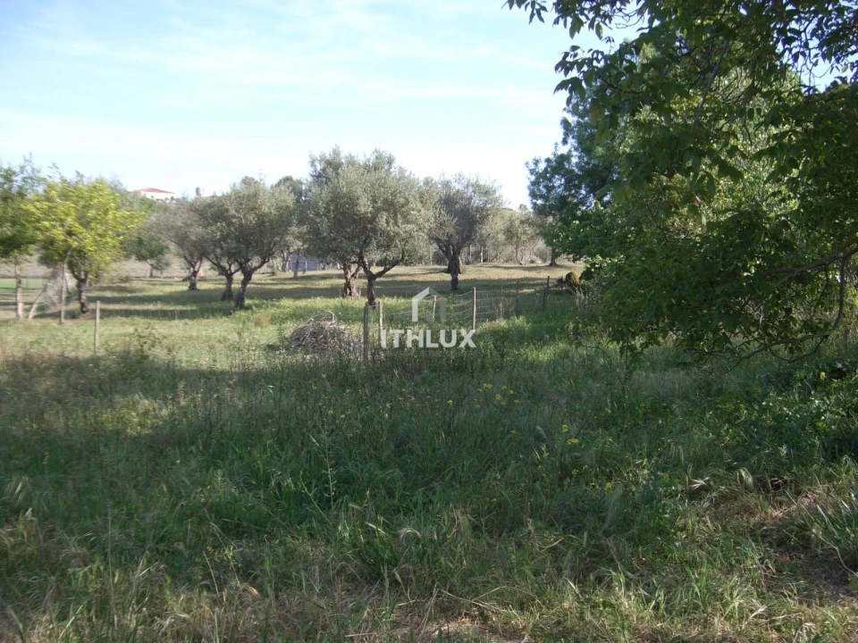 Quinta T1 para Venda em Assunção, Ajuda, Salvador e Santo Ildefonso Foto 19