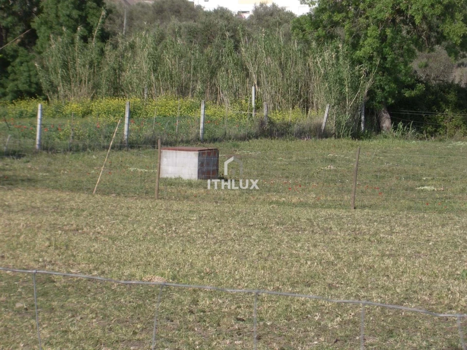 Quinta T1 para Venda em Assunção, Ajuda, Salvador e Santo Ildefonso Foto 15