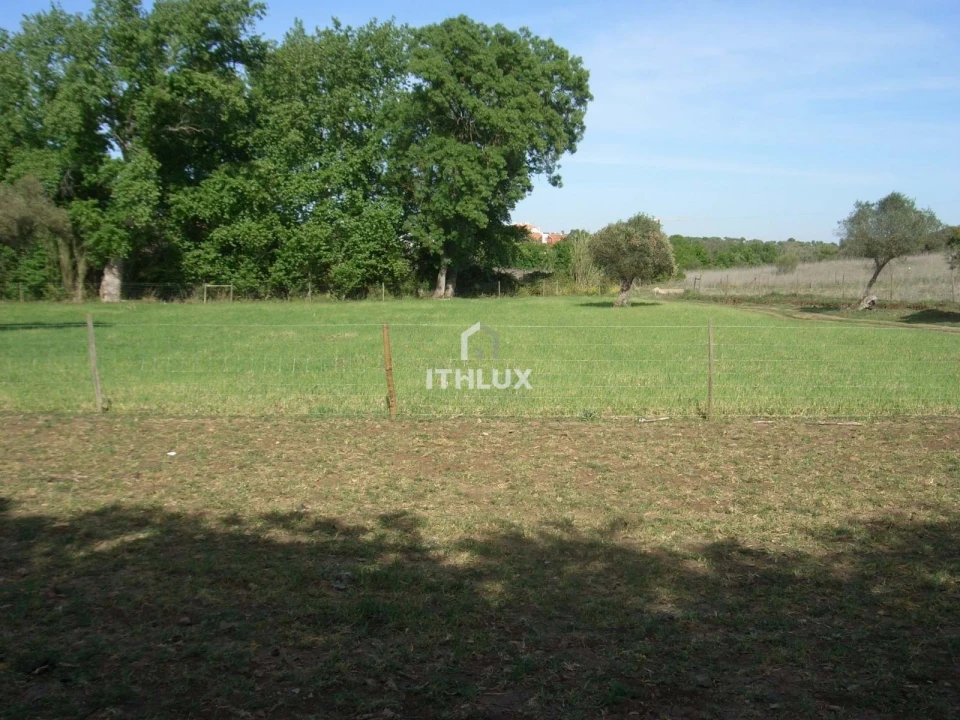 Quinta T1 para Venda em Assunção, Ajuda, Salvador e Santo Ildefonso Foto 13