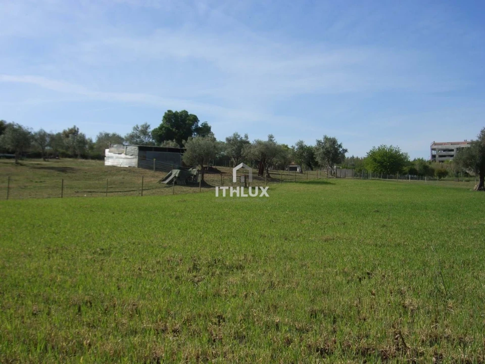 Quinta T1 para Venda em Assunção, Ajuda, Salvador e Santo Ildefonso Foto 8