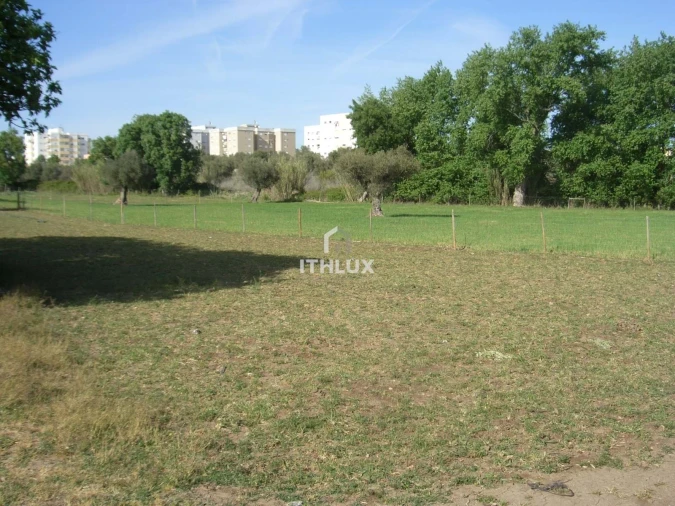 Quinta T1 para Venda em Assunção, Ajuda, Salvador e Santo Ildefonso Foto 6