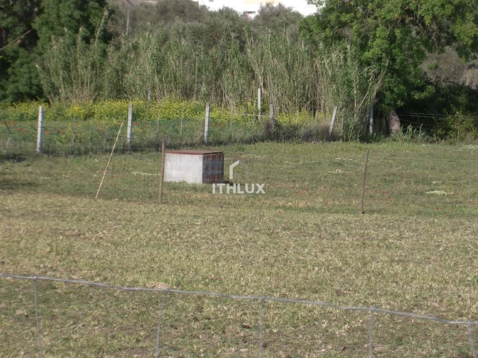 Quinta T1 para Venda em Assunção, Ajuda, Salvador e Santo Ildefonso Foto 15