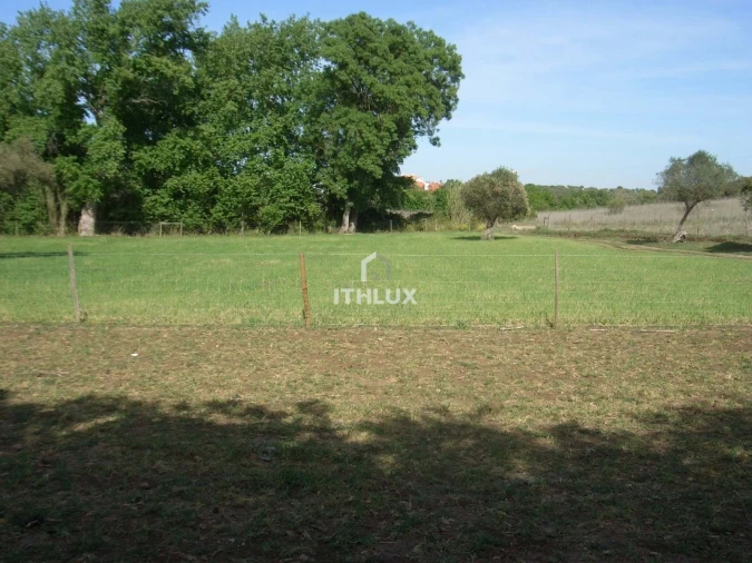Quinta T1 para Venda em Assunção, Ajuda, Salvador e Santo Ildefonso Foto 13