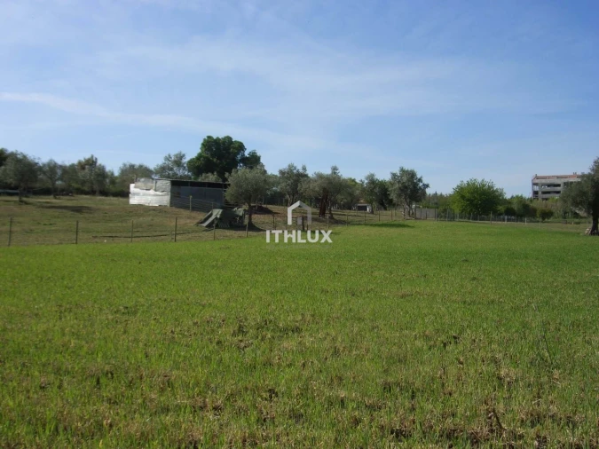 Quinta T1 para Venda em Assunção, Ajuda, Salvador e Santo Ildefonso Foto 8