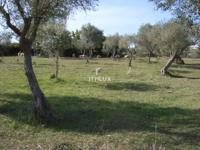 Quinta T1 para Venda em Assunção, Ajuda, Salvador e Santo Ildefonso Foto 11