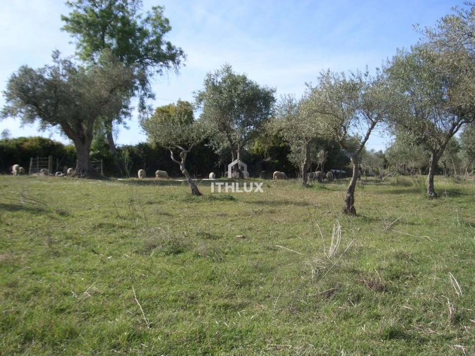Quinta T1 para Venda em Assunção, Ajuda, Salvador e Santo Ildefonso Foto 11
