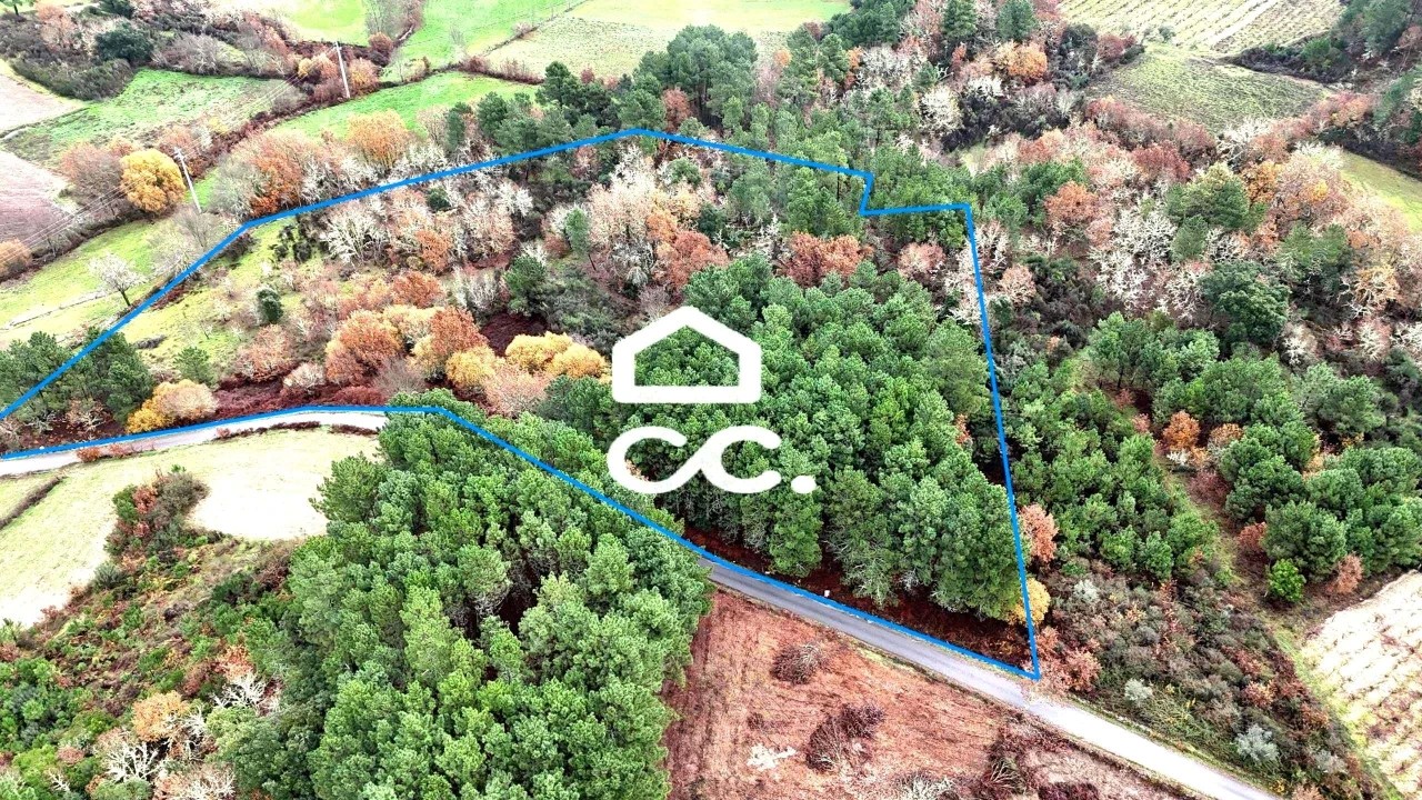 Terreno para Venda em Santa Maria Maior Foto 2