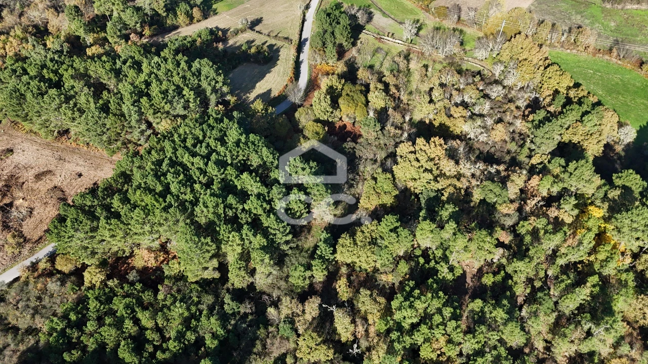 Terreno para Venda em Santa Maria Maior Foto 5