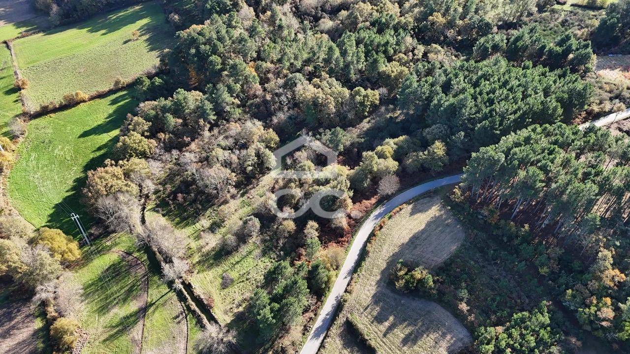 Terreno para Venda em Santa Maria Maior Foto 9