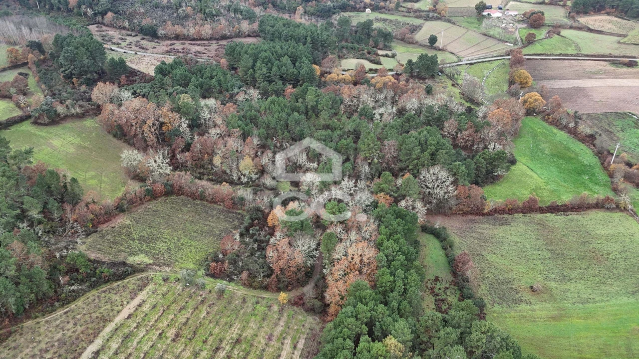Terreno para Venda em Santa Maria Maior Foto 14