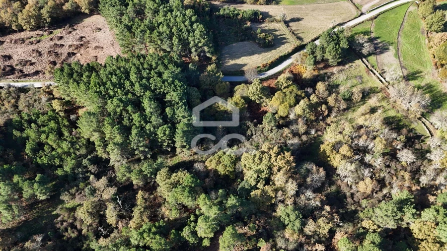 Terreno para Venda em Santa Maria Maior Foto 8