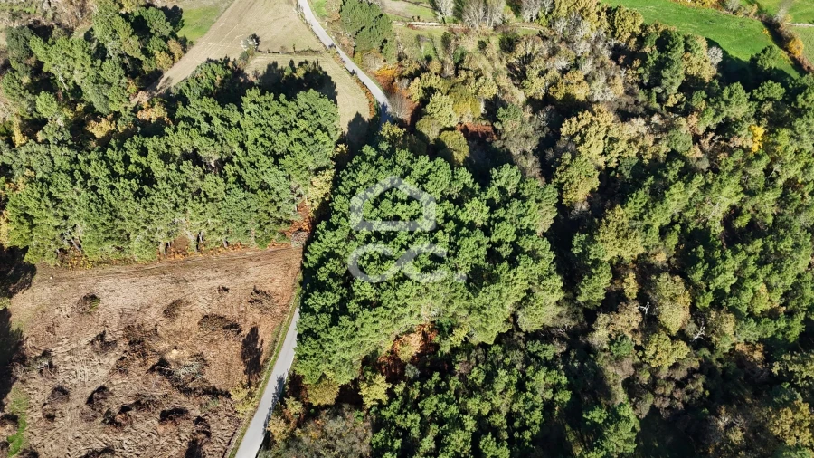 Terreno para Venda em Santa Maria Maior Foto 4