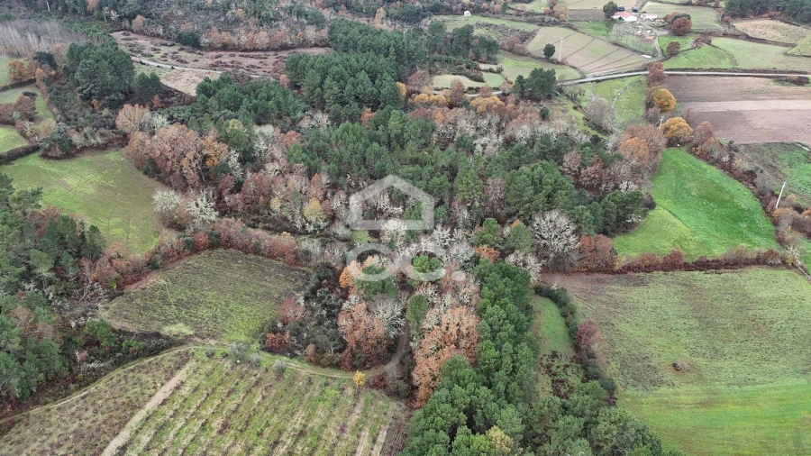 Terreno para Venda em Santa Maria Maior Foto 14
