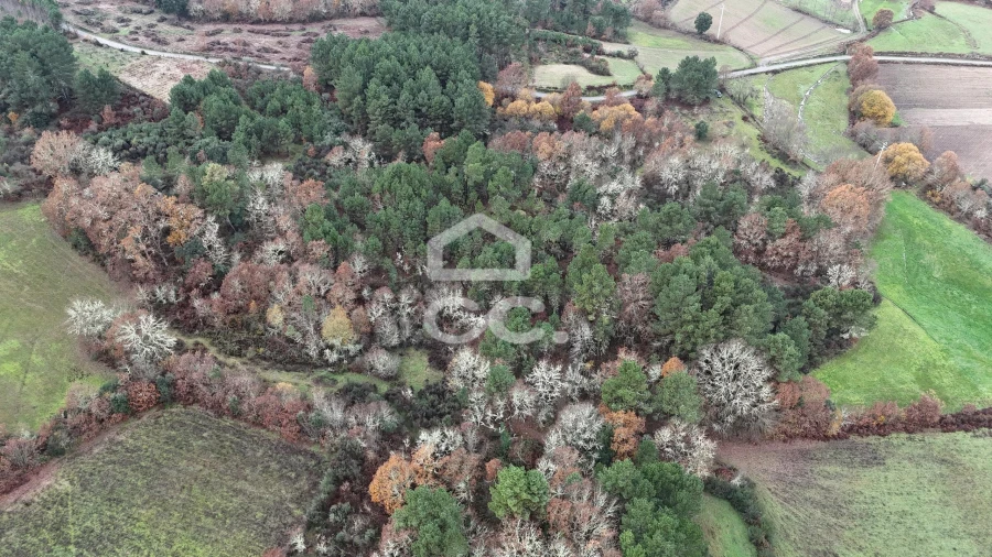 Terreno para Venda em Santa Maria Maior Foto 13
