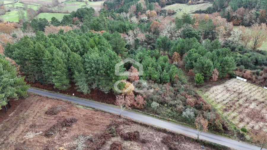 Terreno para Venda em Santa Maria Maior Foto 16