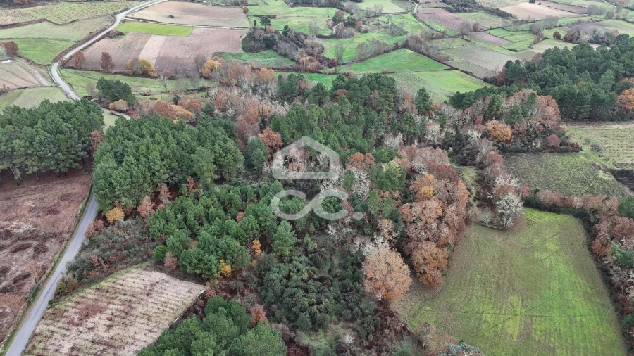 Terreno para Venda em Santa Maria Maior Foto 15