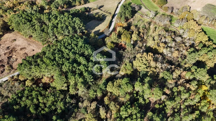 Terreno para Venda em Santa Maria Maior Foto 6