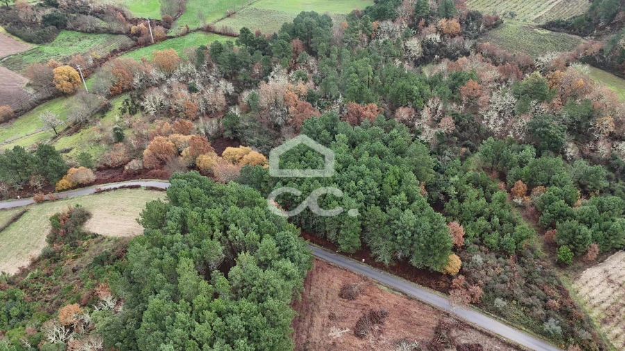 Terreno para Venda em Santa Maria Maior Foto 12