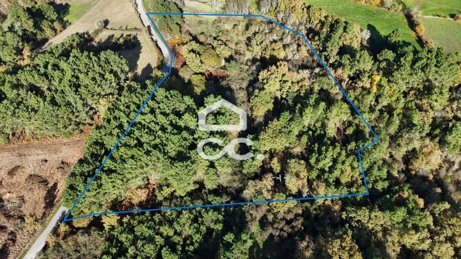 Terreno para Venda em Santa Maria Maior Foto 1