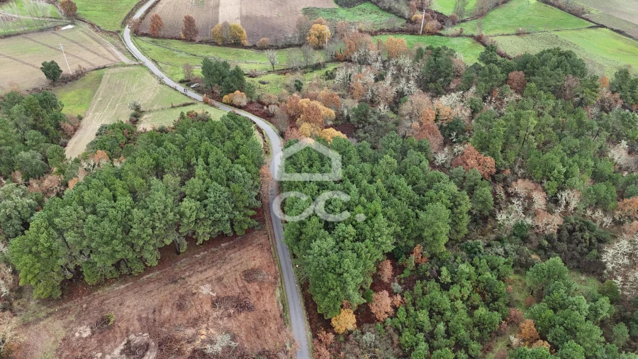 Terreno para Venda em Santa Maria Maior Foto 11
