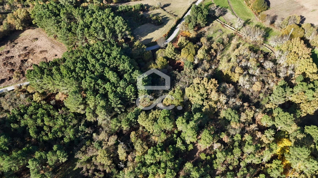 Terreno para Venda em Santa Maria Maior Foto 7