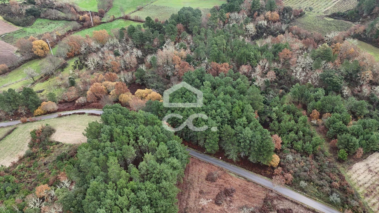 Terreno para Venda em Santa Maria Maior Foto 12