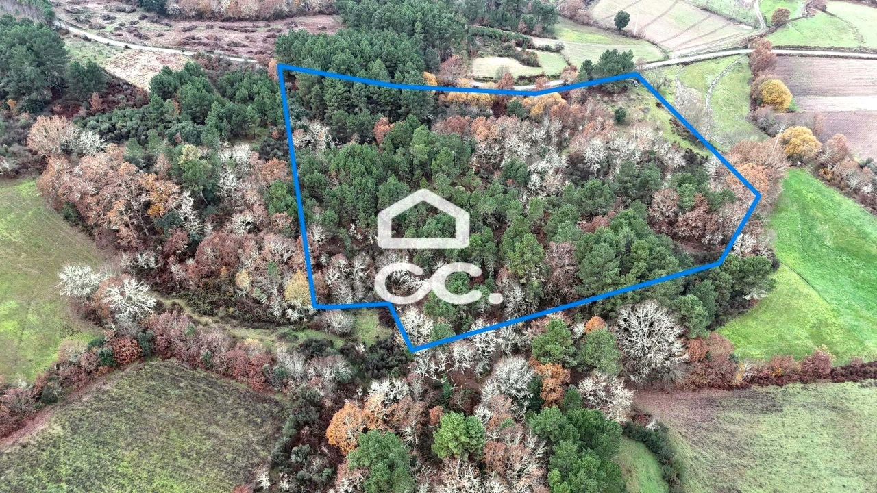 Terreno para Venda em Santa Maria Maior Foto 3