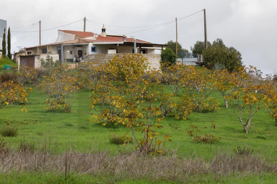 Moradia T3 para Venda em Mexilhoeira Grande Foto 3