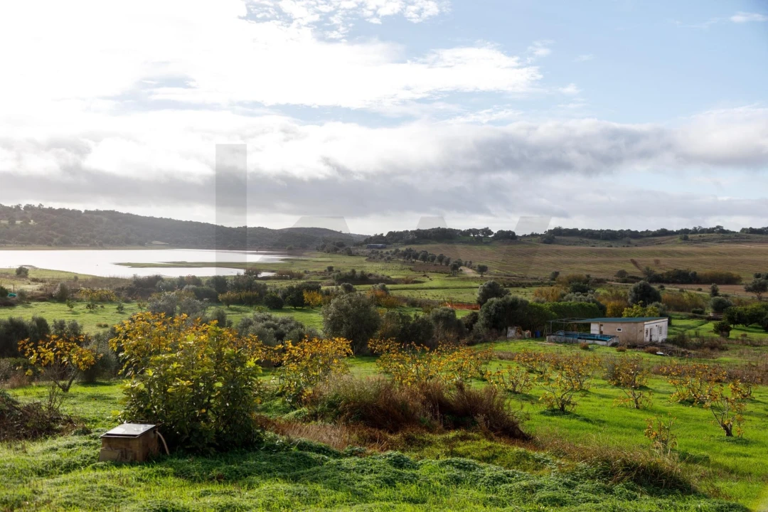 Moradia T3 para Venda em Mexilhoeira Grande Foto 4