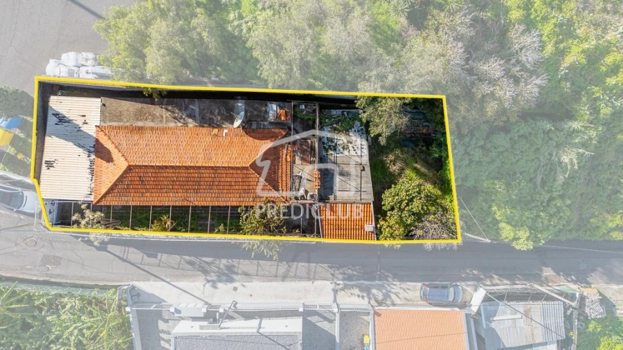 Moradia T3 para Venda em São Martinho Foto 3